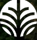 Wind Song logo